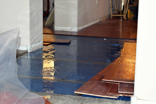 Professional Burst Pipe Cleanup technician working in Rossville, KS